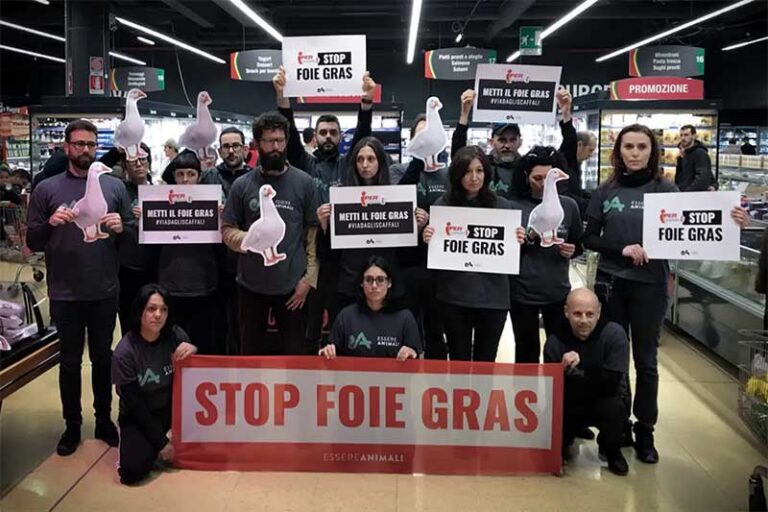 REI CHARLES III PROÍBE QUE PRATO FOIE GRAS SEJA SERVIDO NA RESIDÊNCIA REAL