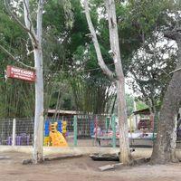 SUCESSO SOCIAL DA SERRA DO PULO DO GAVIÃO ESTÁ INDO PARA O BELELÉU