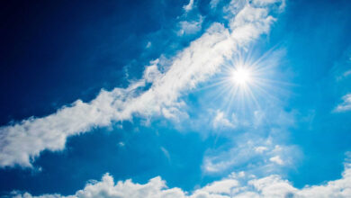 EDITAL DA 6ª MOSTRA POEMAS PARA MARIA-“MARIA DE ARAÚJO E MARIAS DE JUÁ!” ESTÁ ABERTO