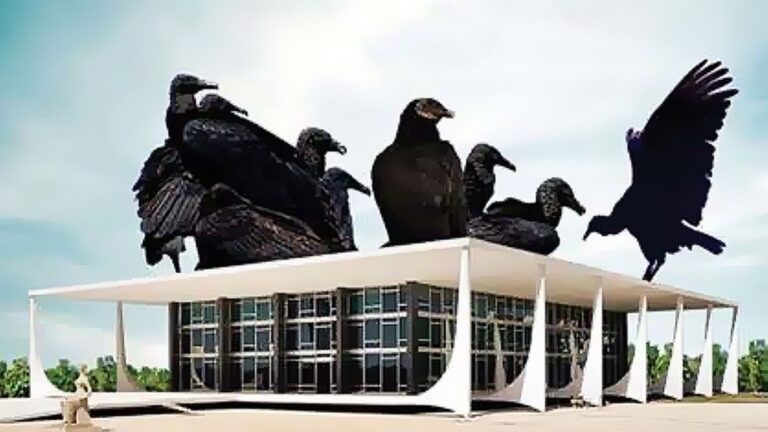 SENADOR SUGERE QUE O JUÍZES DO STF DEIXEM DE SE ACHAR “SEMIDEUSES” E SE CONTENHAM