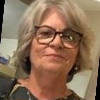 JORNALISTA CRATENSE RADICADA EM BRASÍLIA, CONDENA ENREDO DA ESCOLA DE SAMBA VAI-VAI