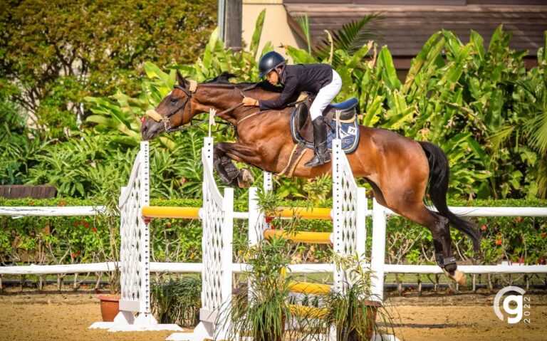 HIPISMO CEARENSE CONQUISTA TITULO DE CAMPEÃO BRASILEIRO EM SÃO PAULO