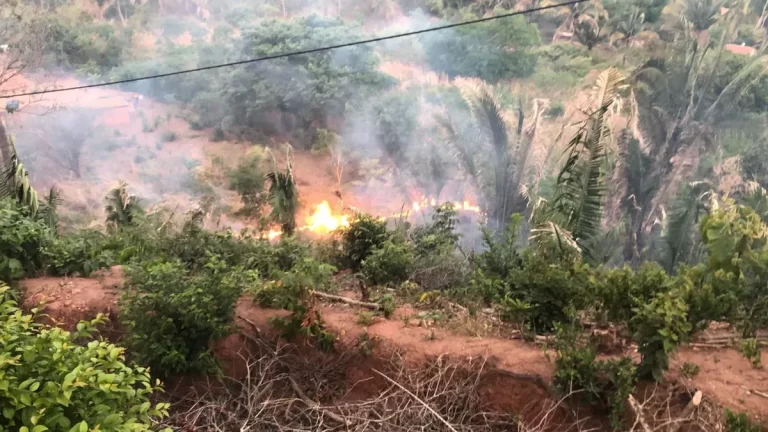 ZONA RURAL DE BARBALHA ARDEU EM CHAMAS NESTE ÚLTIMO DOMINGO