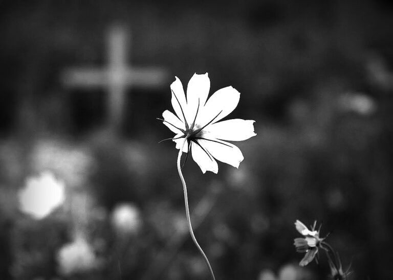 CRATO SE DESPEDIU NESTE DOMINGO DA MATRIARCA DO CLÃ BEZERRA DE MENEZES, DONA NEIDE
