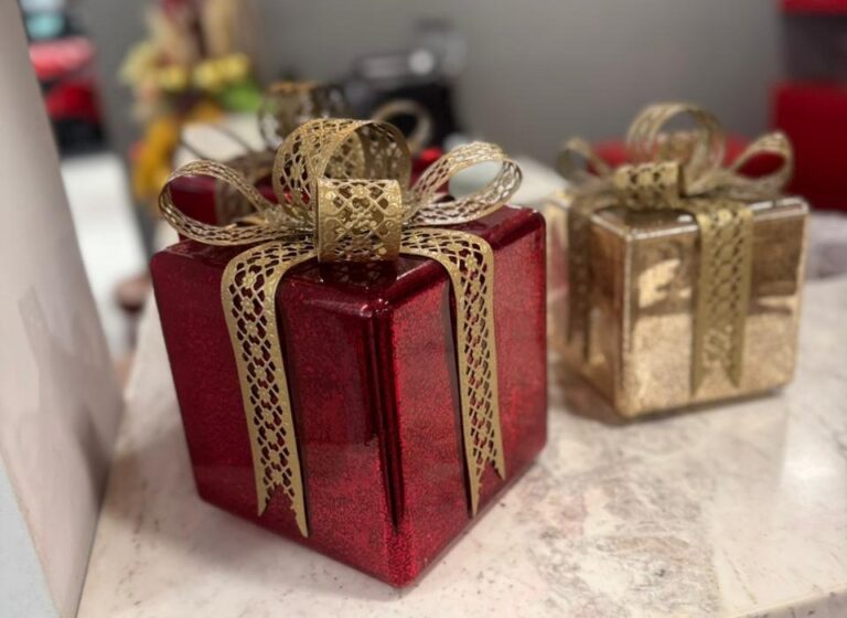 DECORAÇÃO DA CONCESSIONÁRIA CEVEMA CONSEGUE SE SUPERAR ESTE ANO