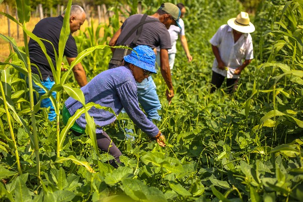 VÁRZEA ALEGRE PARTICIPA DE CARAVANA DA AGRICULTURA FAMILIAR NO CARIRI